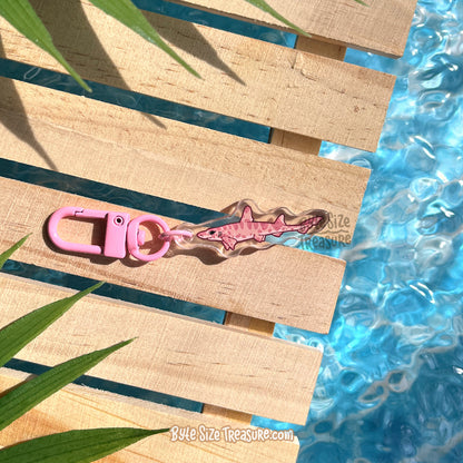 Small Charms: Sharks
