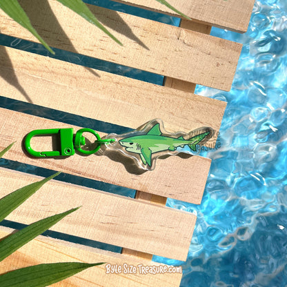 Small Charms: Sharks