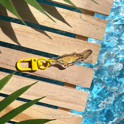 Small Charms: Sharks