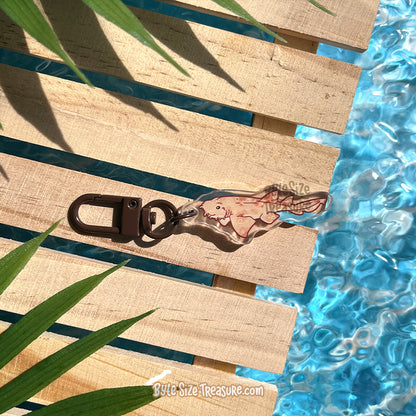Small Charms: Sharks