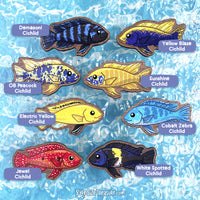 African Cichlids \\ Wooden Magnet
