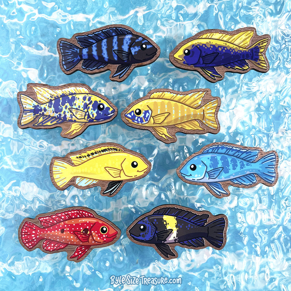 African Cichlids \\ Wooden Magnet