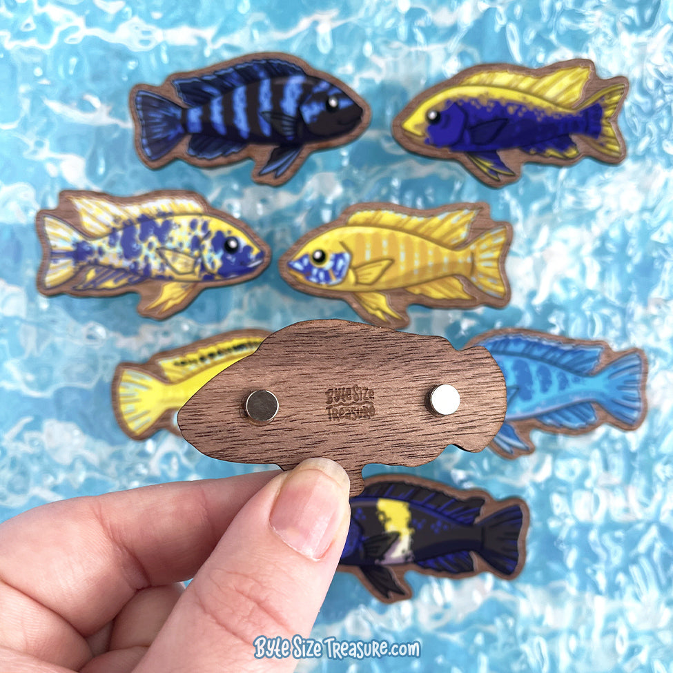 African Cichlids \\ Wooden Magnet