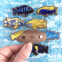 African Cichlids \\ Wooden Magnet