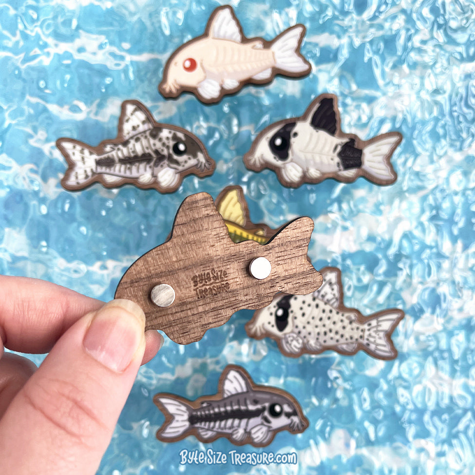 Cordydoras \\ Wooden Magnet