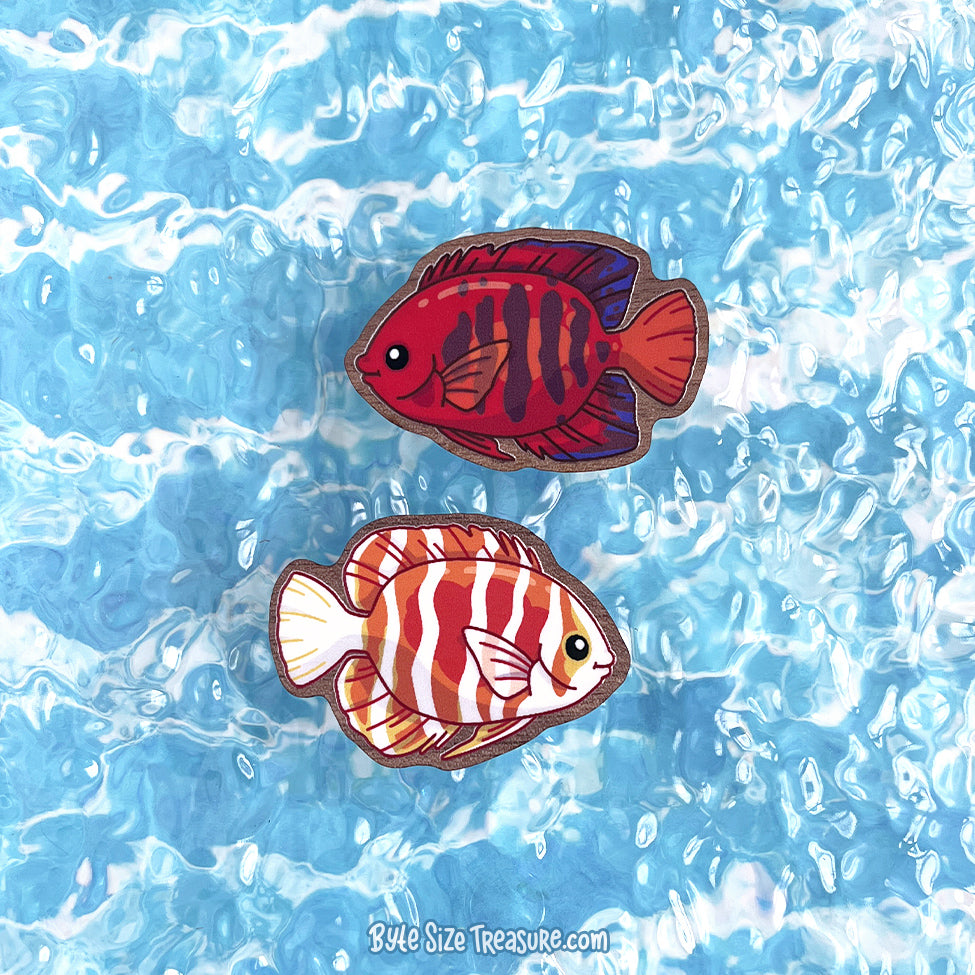 Saltwater Angelfish \\ Wooden Magnet