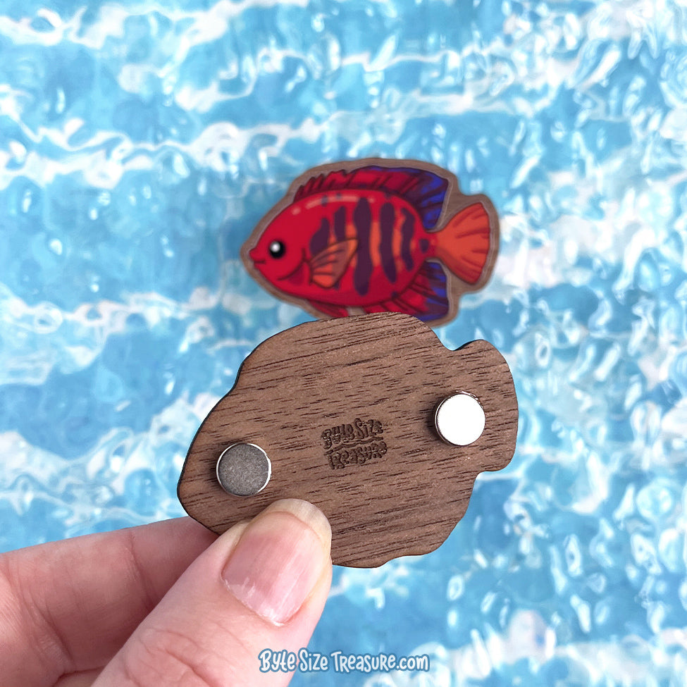 Saltwater Angelfish \\ Wooden Magnet