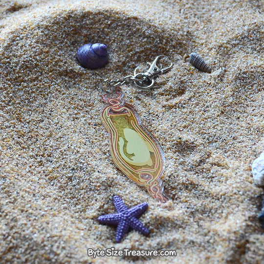 Zebra Shark Egg Case \\ Acrylic Keychain