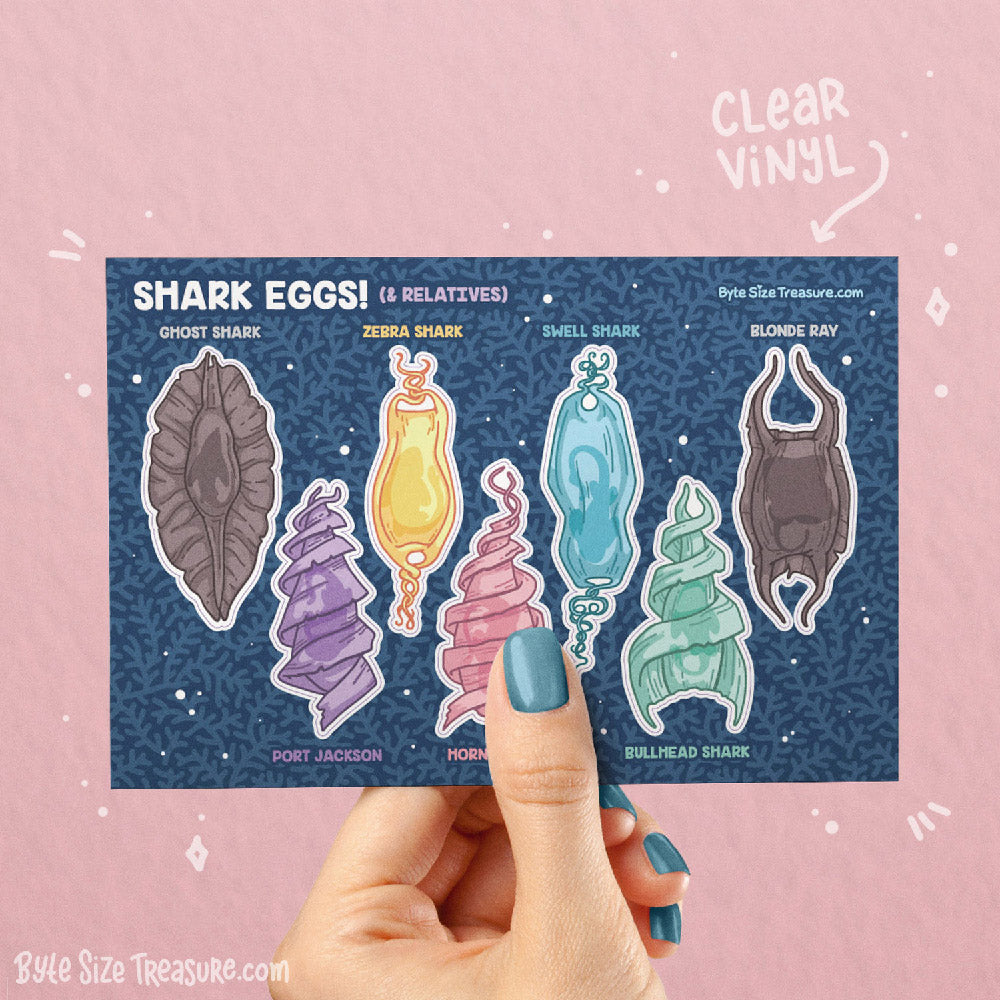 Shark Egg Cases Sticker Sheet