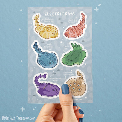 Electric Rays Sticker Sheet