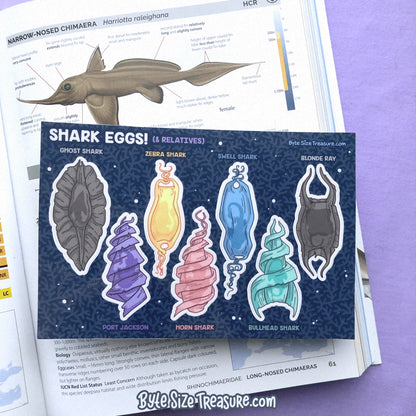 Shark Egg Cases Sticker Sheet