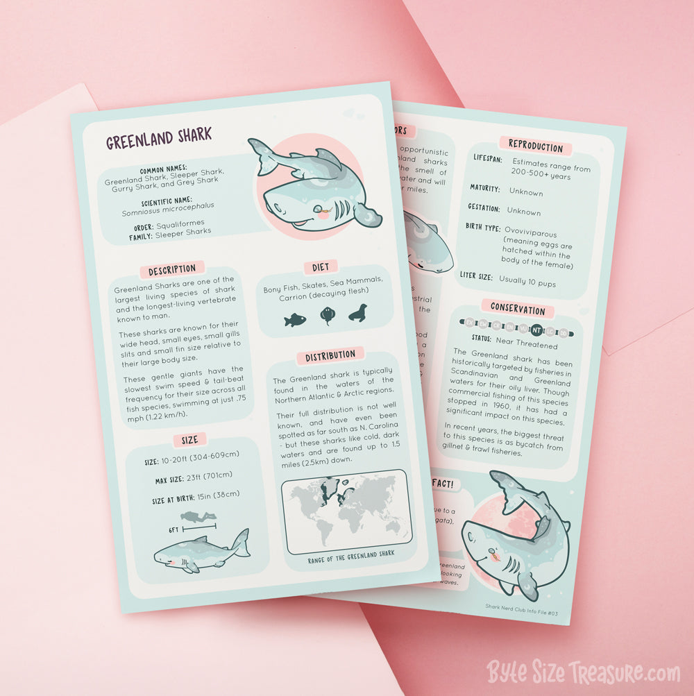 Shark Species Info Cards