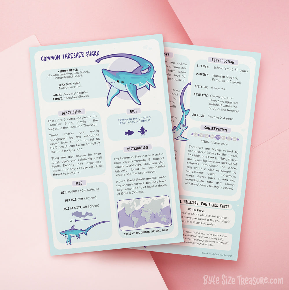 Shark Species Info Cards