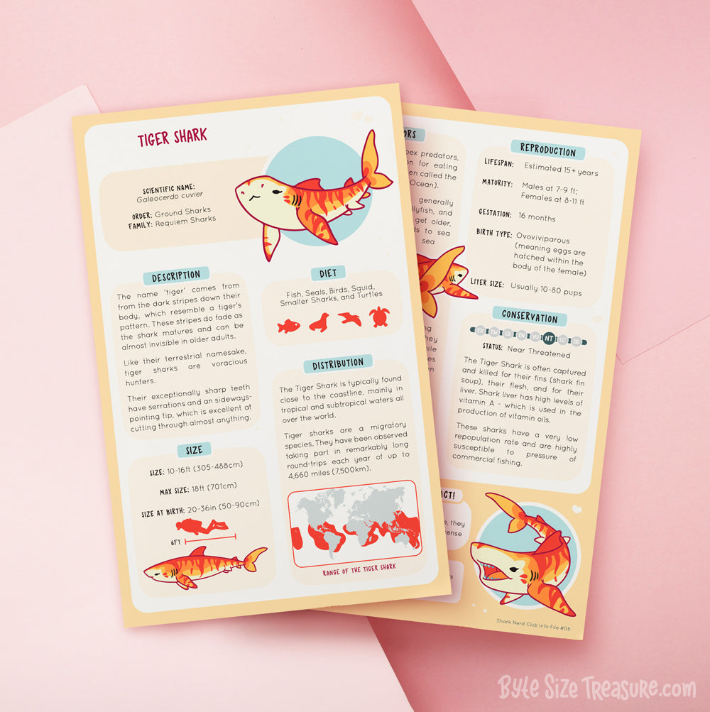 Shark Species Info Cards