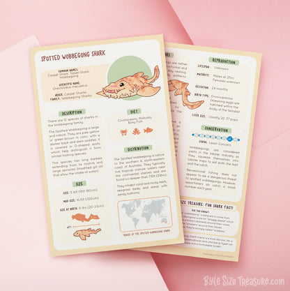 Shark Species Info Cards