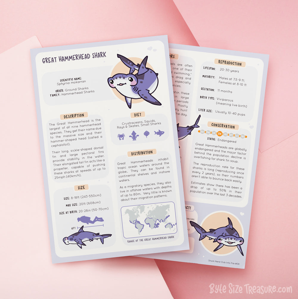 Shark Species Info Cards