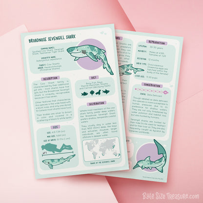 Shark Species Info Cards