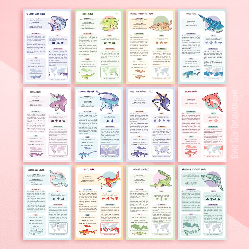 Shark Species Info Cards