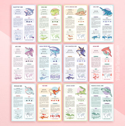 Shark Species Info Cards